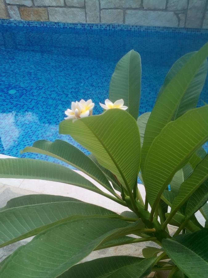 “theeporto” Maisonette With Pool Gouves