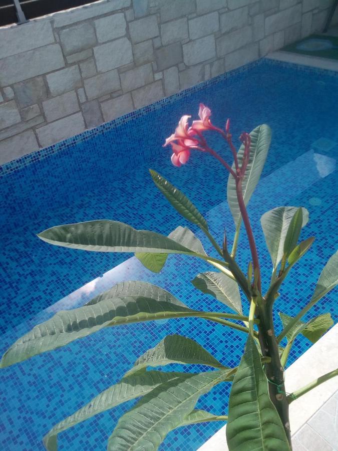 “theeporto” Maisonette With Pool Hébergement de vacances *